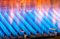 Ballantrae gas fired boilers